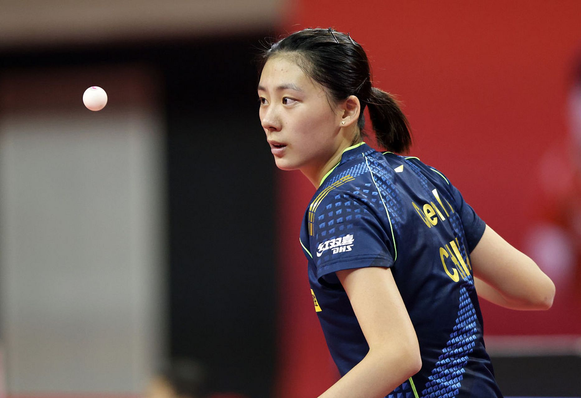 的独特魅力 的独特魅力