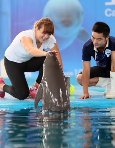 更能从中汲 更能从中汲